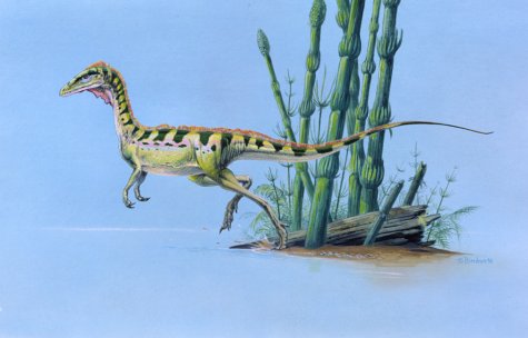 fastest dinosaur ever lived